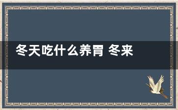 冬天吃什么养胃 冬来自季吃什么养胃